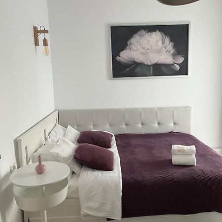 Alma Apartments Сучава Экстерьер фото